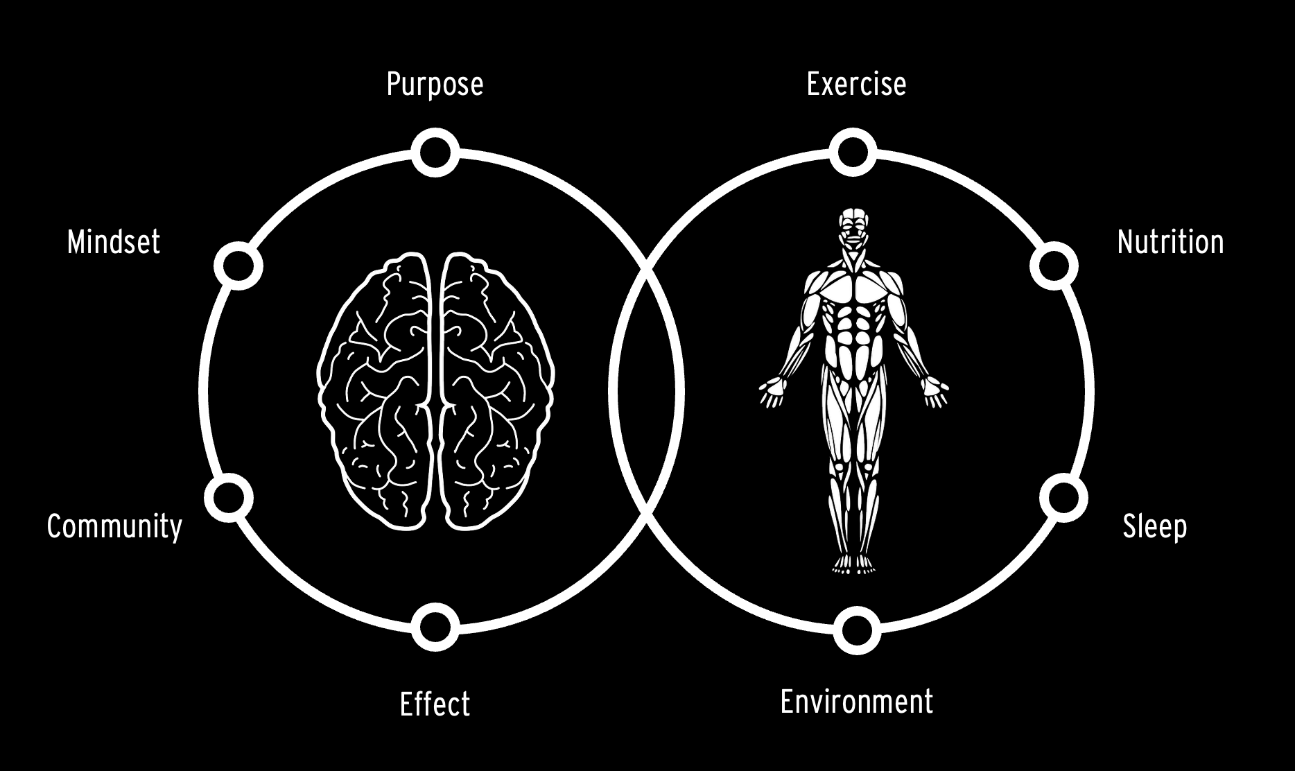 The 8 Dimensions of Human Performance — Mind and Body rings intersecting.