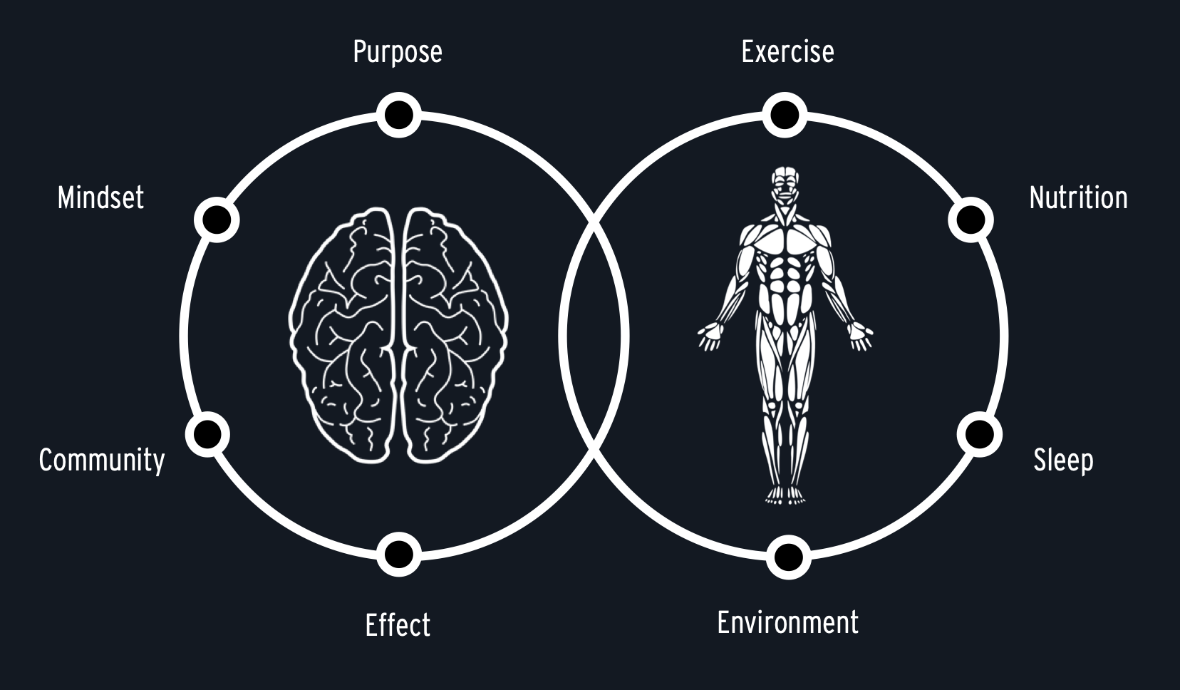 The 8 Dimensions of Human Performance — Mind and Body rings intersecting.